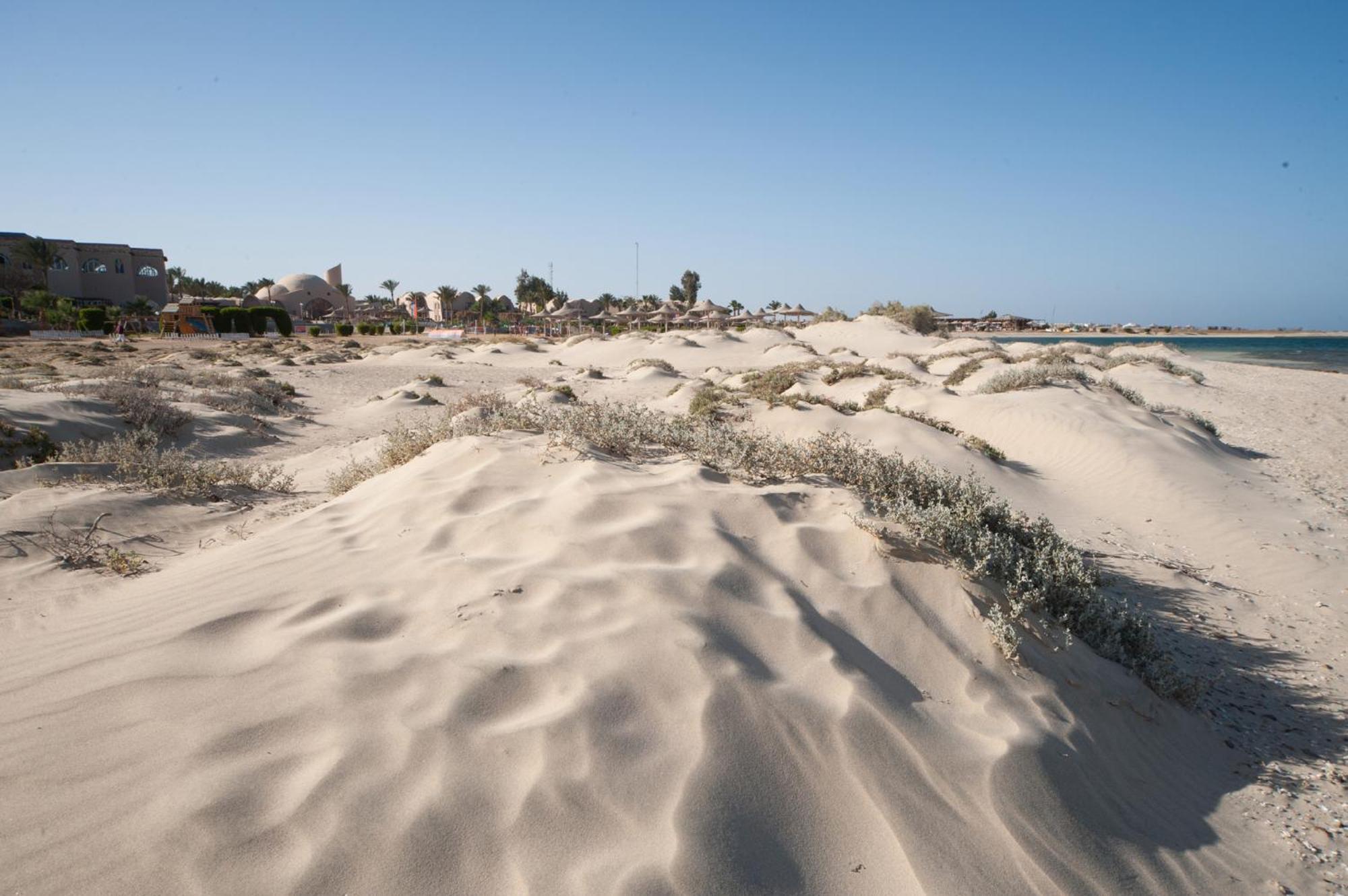 Shams Alam Beach Resort Abū Ghuşūn Exterior foto